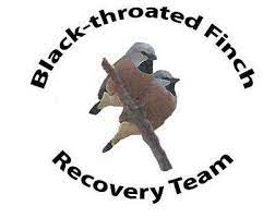 black-throated finch recovery team